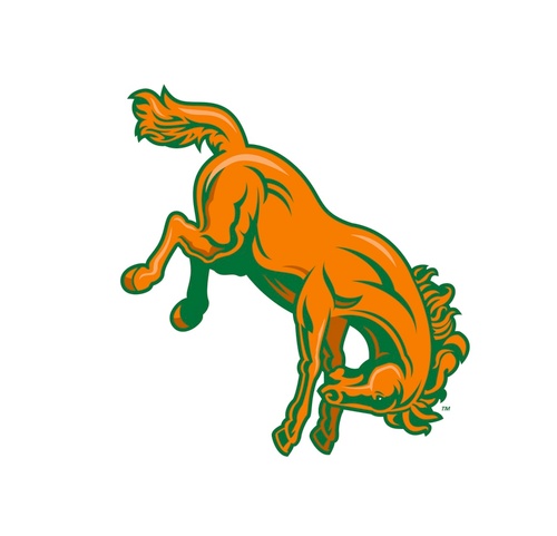 The SAAC committees major focus is to provide a vehicle that promotes dialect between student-athletes and UTPA athletics administration.