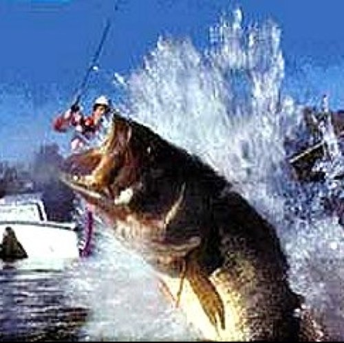 Sometimes even our favorite things let us down. If all else fails.... CAST BEHIND YOU!