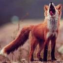 Дымовская - @Alice_AlRed - Twitter