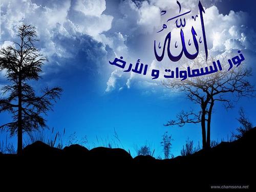 تذكر قبل أن تعصي: يوم تشهد عليك أعضاؤك بما عملت من خير وشر، حتى إذا ما جاؤوها شهد عليهم سمعهم وأبصارهم وجلودهم بما كانوا يعملون.