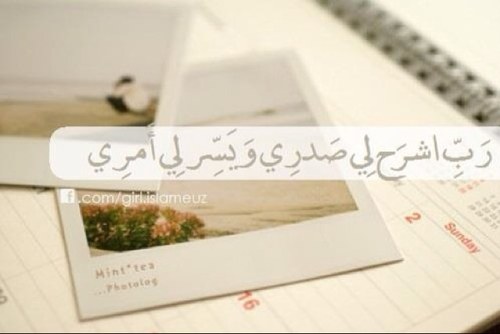 الحساب الجديد @88Zxc