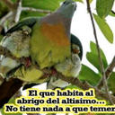 Gabriela (@025Gaviota) Twitter