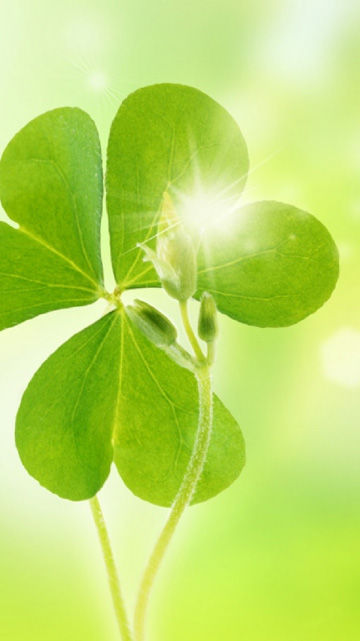 my8844's profile picture. 