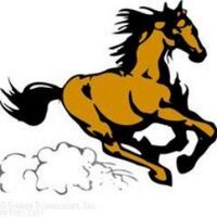 Martin Elementary (@martin_mustangs) 's Twitter Profile