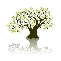 OliveTreeExport's profile picture. We bring organic and green products made and produced by American Small Businesses to Emerging Markets in the Middle East.