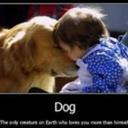 elva rocha - @elvarocha8 - Twitter