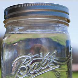 ZombieBookClub's profile picture. A book club about zombies.