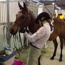 Renee Egan - @EganRen - Twitter