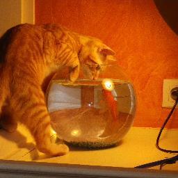 BARROUILLETML's profile picture. 