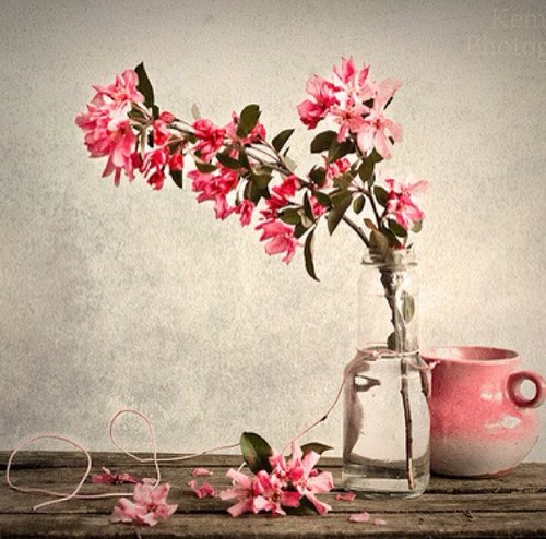 تسرقني الكتآبة أحياناً كثيره إليهآ وبعض مآ أكتبہ تجدوه في المفضلہ☆ من تحت ثوب المطر☁