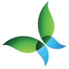 CrowKreations's profile picture. Dedicated to providing affordable marketing to small business professionals specializing in wellness and the healing arts. Transform your internet presence.