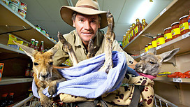 World premiere BBC2 this Sat 26th @ 20.30. Full-time Kangaroo Mum.