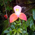 Derek Rushmere (@capedoc) Twitter profile photo