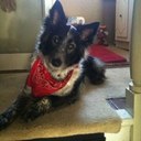 Alison Kahn - @KahnPh - Twitter