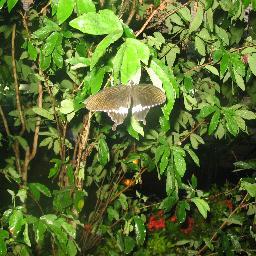 serenapittme's profile picture. Music Addict - Dreamer - Hiphop - Fashion - Just doing what i love :) Follow me i'll follow you back :)
RETWEET EVERYTHING GOOD :) XOXO