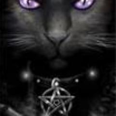 wolfie_black16's profile picture. I'm the oldest out of 7 and bust a few heads when you mess with me or my little bros & sis.People that know me call me hot head and wolfie but I can be nice too