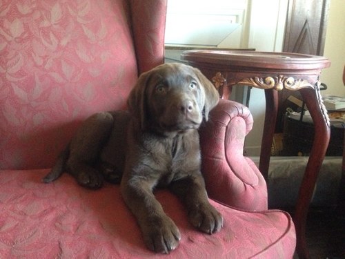 mimagazin's profile picture. 