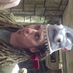 Dreadmullet (@dreadmullet) Twitter profile photo Dreadmullet (@dreadmullet) Twitter profile photo