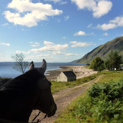 ArdgourRidingCe's profile picture. Ardgour Riding Centre is  a small family run riding school and trekking center . We cater for all levels of rider from beginner's to advanced riders .