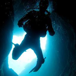 I'm an entrepreneur, marine aquarist, and scuba diver. I help folks succeed with marine and reef aquariums at https://t.co/bNPPDRNima.
