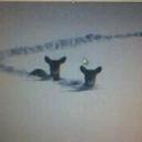 richard janssen - @richardjanssen7 - Twitter