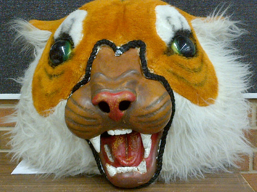 Leader of Bengal Nation at Oak Forest HS.
Follow me for all the important info at Oak Forest HS. 
I'm a Bengal, a bit oversized, but a Bengal nonetheless