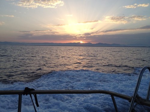 mau_icsnautica's profile picture. 