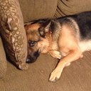 Dan Russo - @stonciddta - Twitter