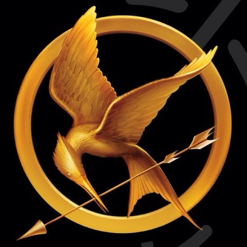 The Hunger Games quotes from the whole triology :) RT and have fun!