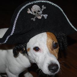 lindagraham58's profile picture. 