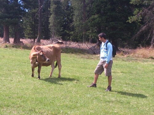 michele_boldo's profile picture. 