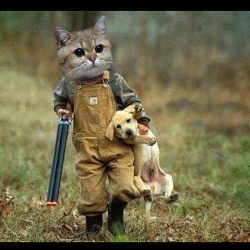 allysonnobles's profile picture. Oh to be seated at the Masters feet!!  I pray each day to be more like You Lord and less like me so that one day I will be seated at Your feet!!!