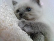 うじうじ悩むことがめんどくさいので嫌いです。めんどくさがりでーす☆