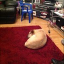 liam hynes - @liamhynesy - Twitter