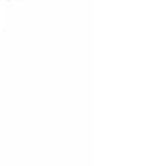 ApenasFeios's profile picture. Se eu te segui você é feio!