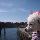 Sharon Nyberg - @KyrasKorner - Twitter