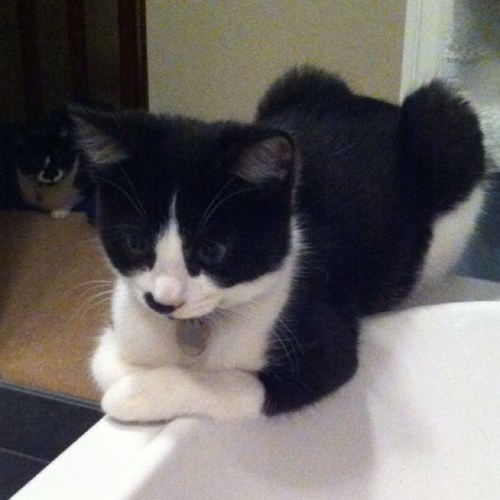 kayleighsterl's profile picture. 