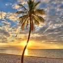 amy arthur - @mywife12 - Twitter