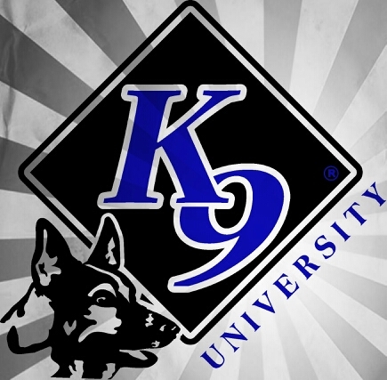 K9 University offers the most comprehensive Detection Services in the country. These services are designed to be confidential, discrete and effective.