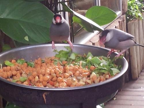 MARKYYID's profile picture. 