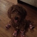 Kate Ritchie - @1katerone - Twitter