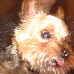 trailmixlover's profile picture. i love god and my family and friend s love workin g out