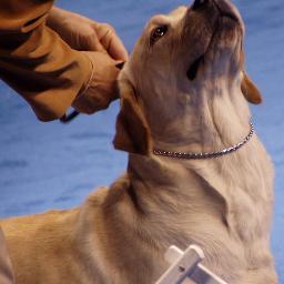 FarmStoreMA's profile picture. Dedicated to your pets health and well being.