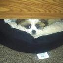 Jon & Tyler Guidry - @twodumbbros - Twitter