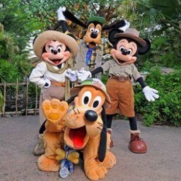 Su estación de información y noticias para los parques de Walt Disney World Resort, y Resorte Disneylandia. Ayudandole sacar provecho de su vacaciones aquí!!