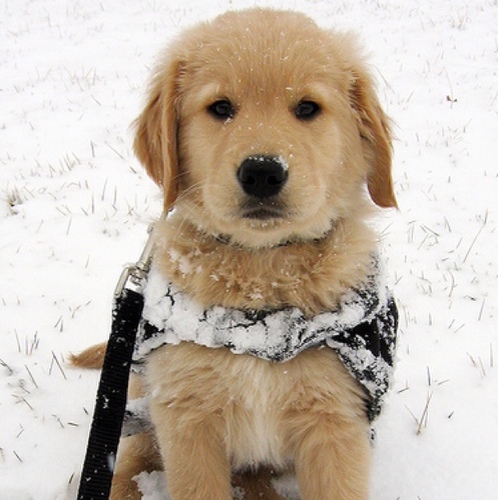 x_Meg_Meow_x's profile picture. I'm Meg 19 I ♥ Ps3, video games music ♪ :D man utd fan and student :) ♡ Katy Perry, A7x,30stm,Ncis♡