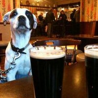 sheffieldbeergeek (@twobeergeeks) 's Twitter Profile Photo