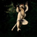 Eileen Lister - @CognivityUK - Twitter