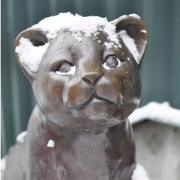 UPrepAlumni's profile picture. Keeping U Prep's alumni community connected!