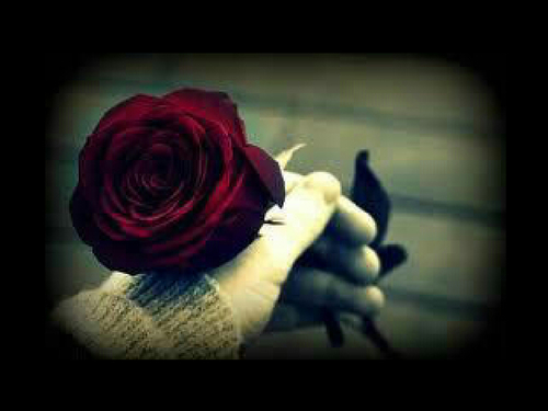 ᶠᵒᶫᶫᵒʷ ᵐᵉ , ᶠᵒᶫᶫᵒʷ ʸᵒᵘ...♥